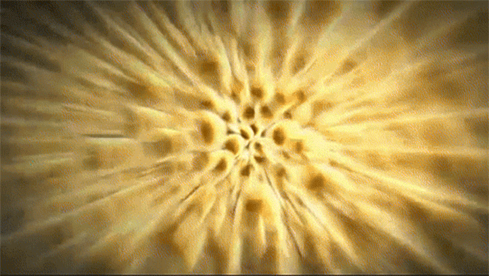 EMTONE擊脂槍_悠美診所 密塑冷凍減脂Micool_悠美診所